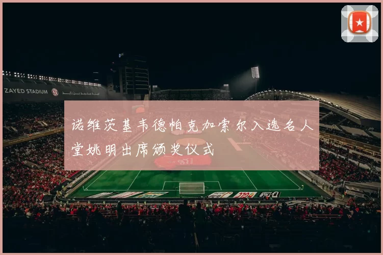 诺维茨基韦德帕克加索尔入选名人堂姚明出席颁奖仪式