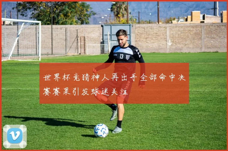 世界杯竞猜神人再出手全部命中决赛赛果引发球迷关注