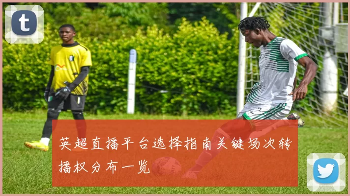 英超直播平台选择指南关键场次转播权分布一览