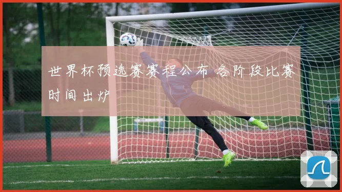 世界杯预选赛赛程公布 各阶段比赛时间出炉