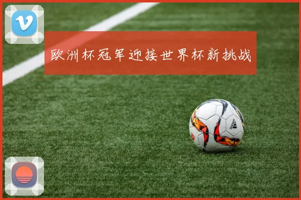 欧洲杯冠军迎接世界杯新挑战