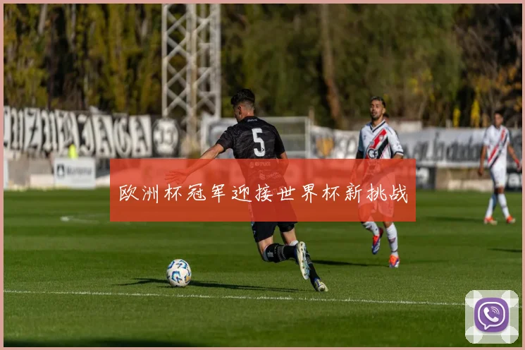 欧洲杯冠军迎接世界杯新挑战
